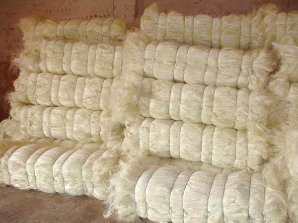 sisal fibre